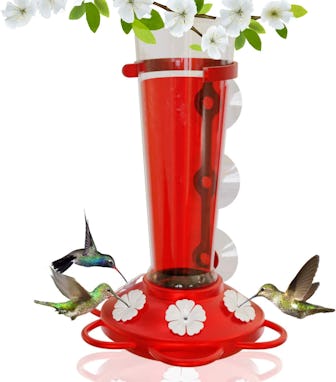 Nature Anywhere Hummingbird Feeder 