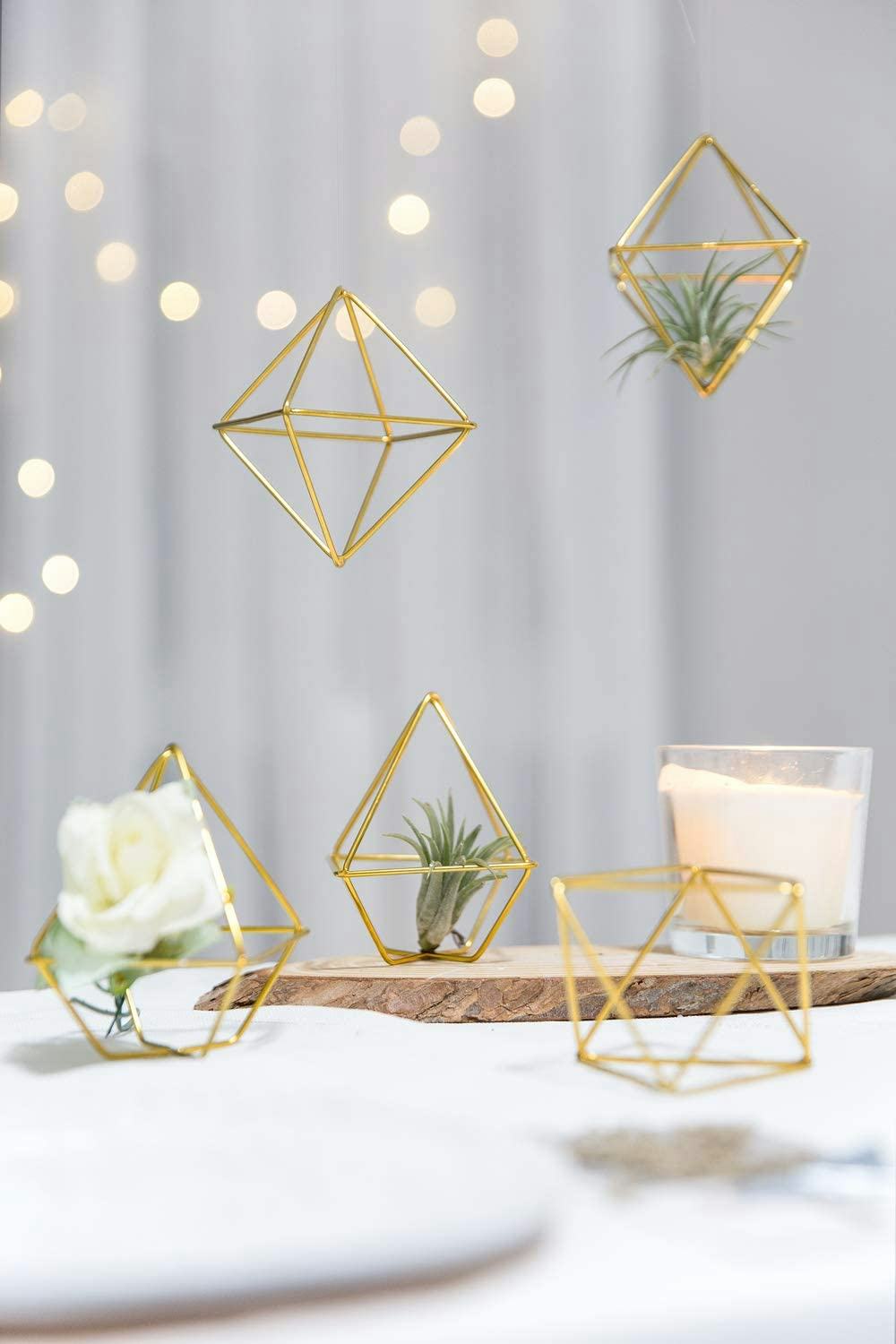 Mkono Air Plant Holders (Set of 5)