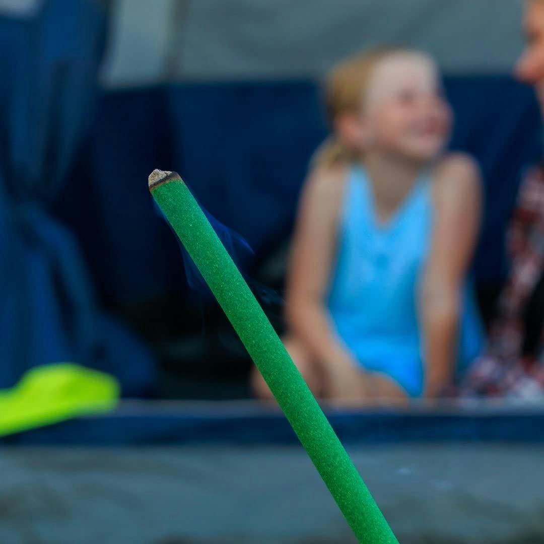 Mosquito Guard Repellent Sticks (12-Pack)