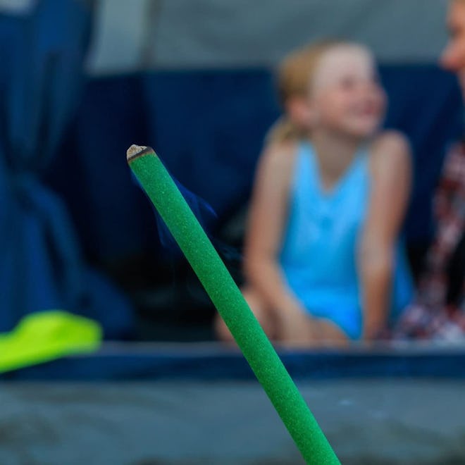 Mosquito Guard Repellent Sticks (12-Pack)