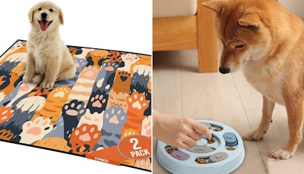 Having pets would be so much easier if you had any of these clever things