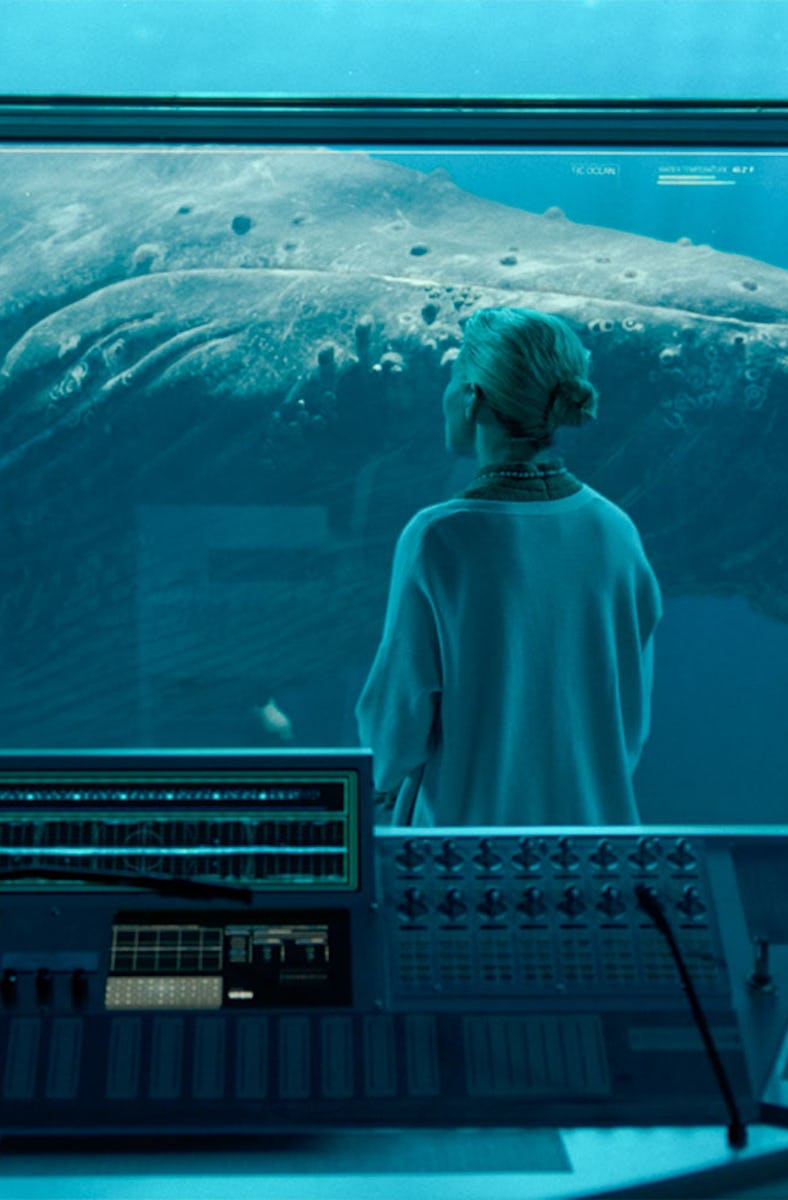 Scientist looks at the last humpback whale in Extrapolations