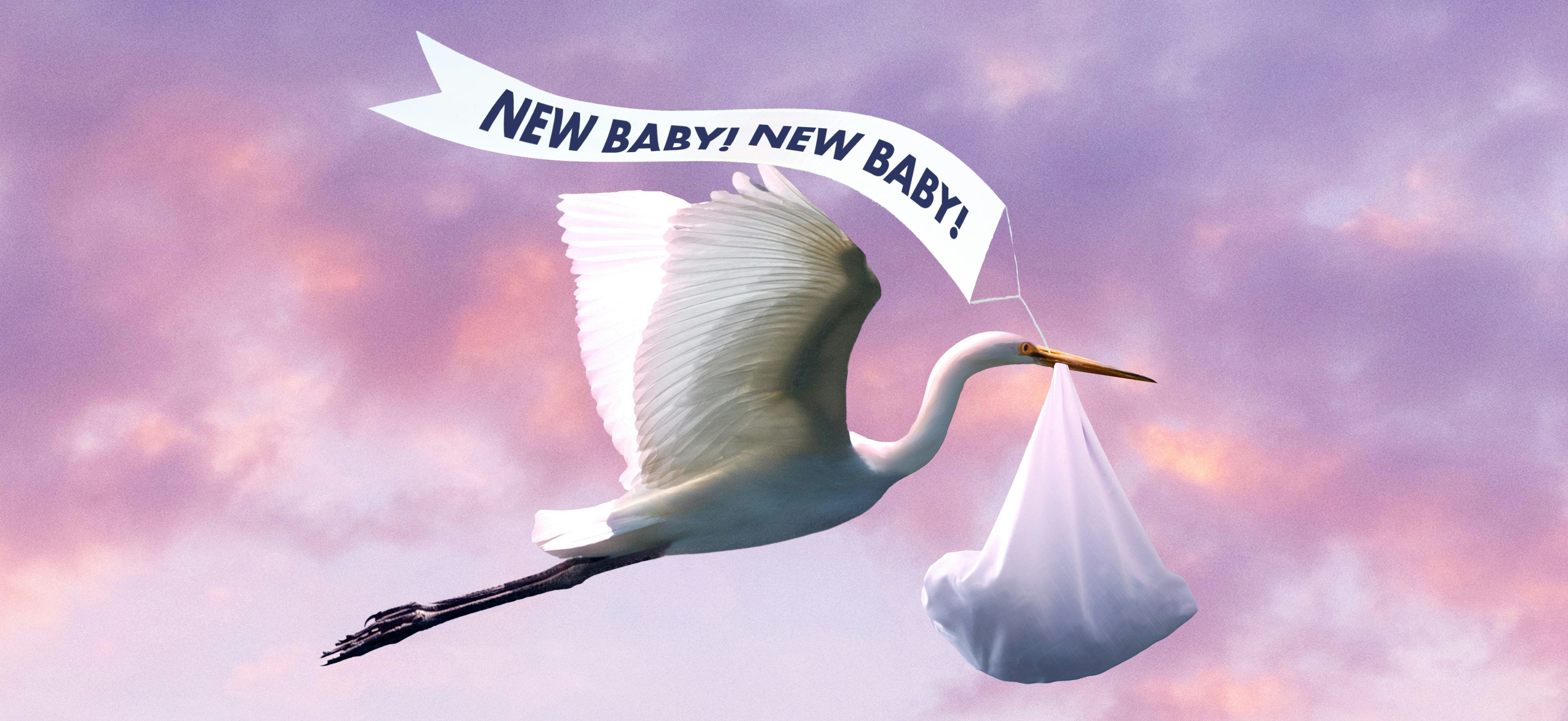 Cute Birth Announcements Checklist, Wording & Theme Ideas