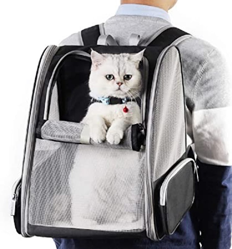 Texsens Pet Backpack Carrier