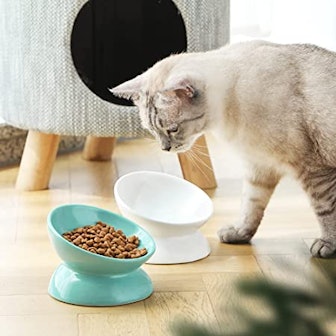 SWEEJAR Ceramic Raised Cat Bowl