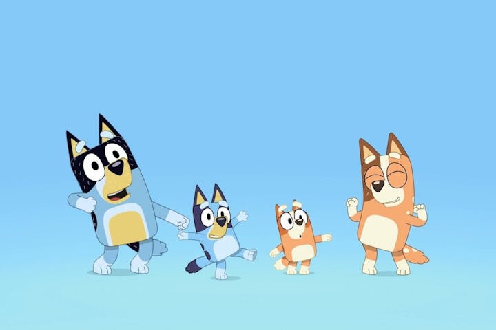 Bluey dancing introduction