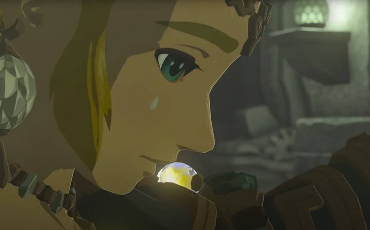 Tears of the Kingdom Zelda and mysterious figure with a tear