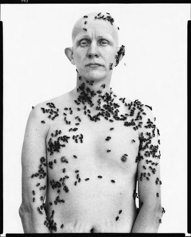 Richard Avedon, Ronald Fischer, beekeeper. Davis, California, May 9, 1981.