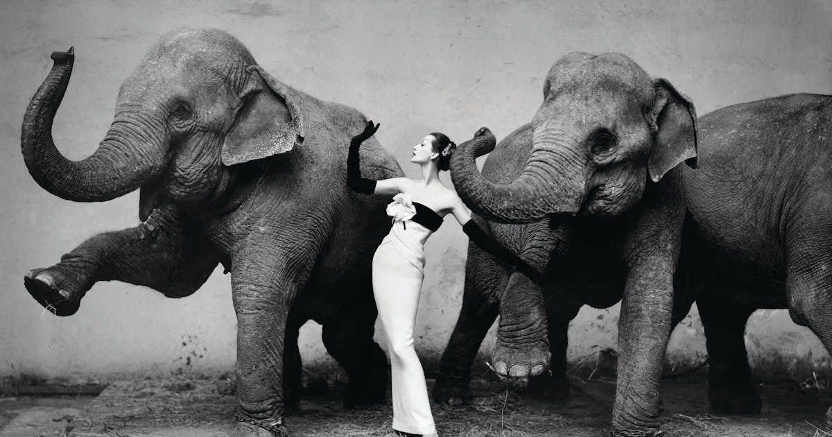Richard Avedon’s Enduring Influence on the Fashion Greats of Today