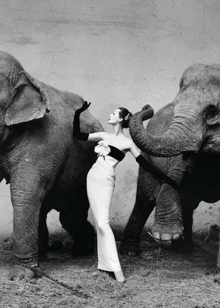Richard Avedon, "Dovima with elephants." Evening dress by Dior, Cirque d’Hiver, Paris, August 1955.
