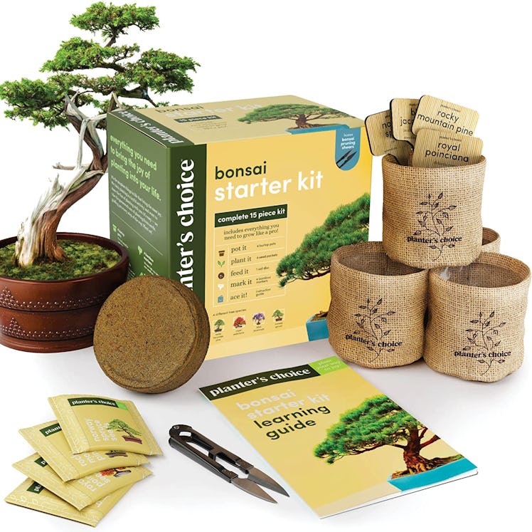 Planters' Choice Bonsai Starter Kit