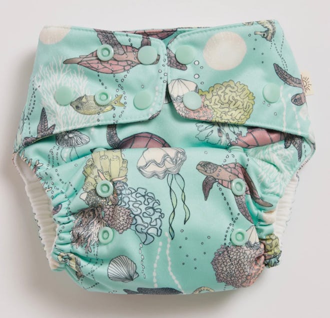 EcoNaps Turtles 2.0 Cloth Diaper