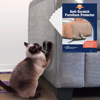 Stelucca Amazing Shields Cat Scratch Deterrent (6-Pack)