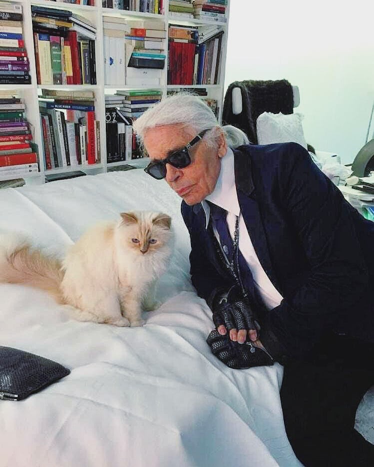 Choupette and Lagerfeld. 