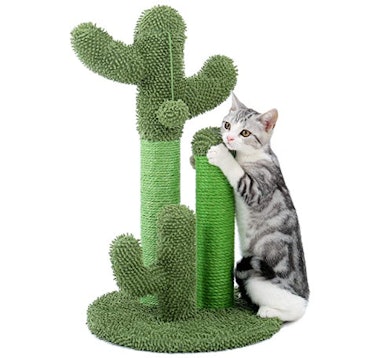 PAWZ Road Cactus Cat Scratching Post
