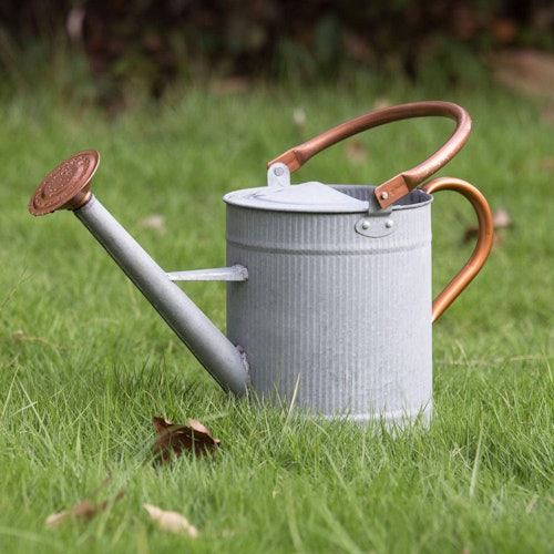 HORTICAN 1 Gallon Watering Can
