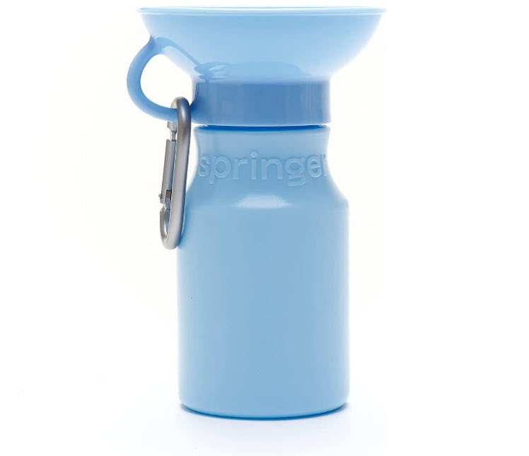 Springer Dog Travel Water Bottle