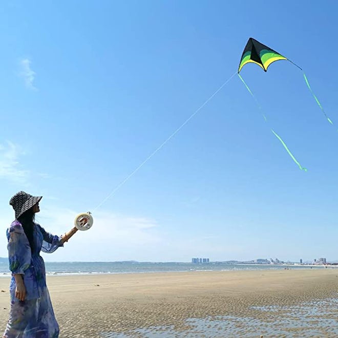 Mint's Colorful Life Delta Kite