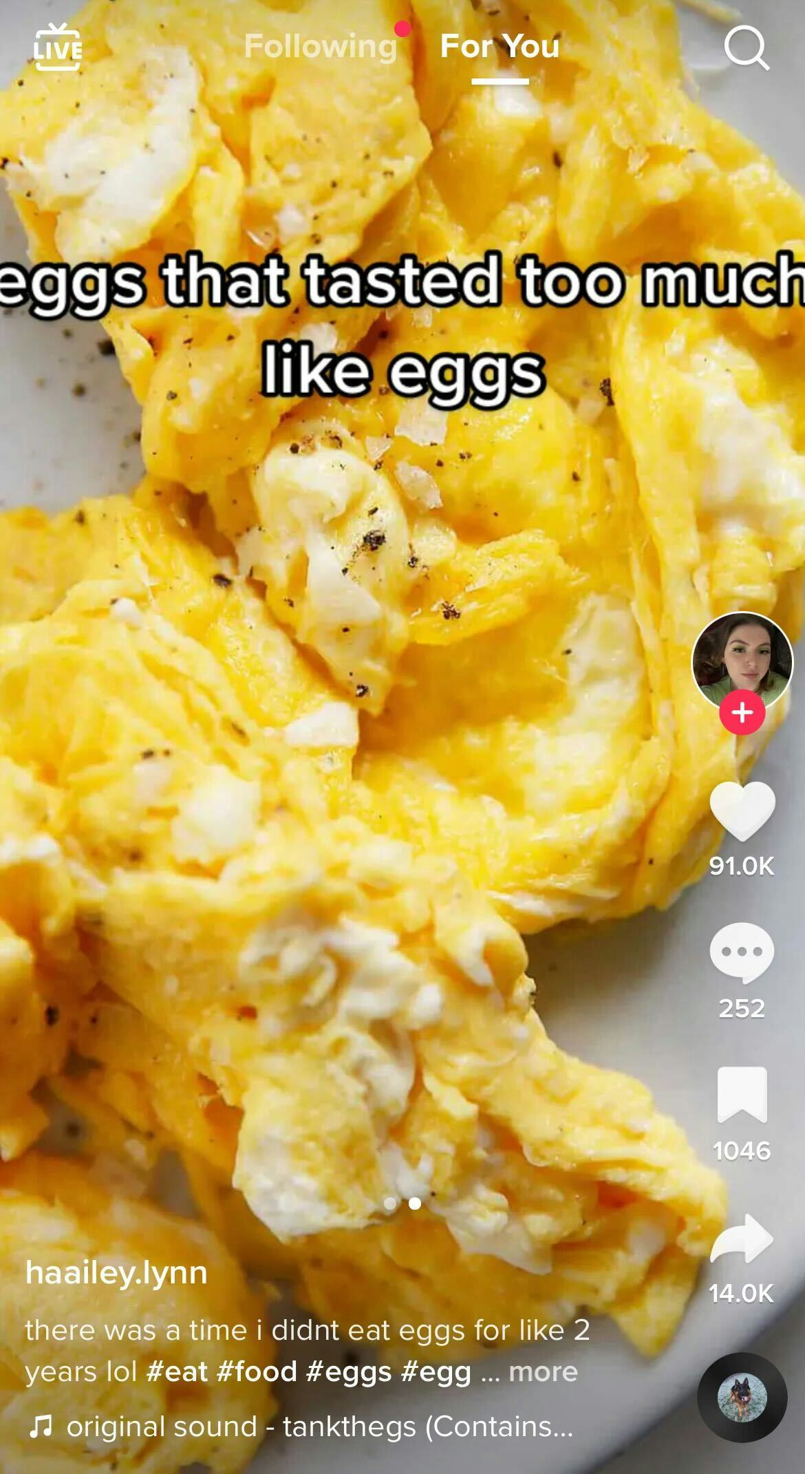 These are the best memes from the &ldquo;Things I Ate &amp; Survived&rdquo; TikTok trend.