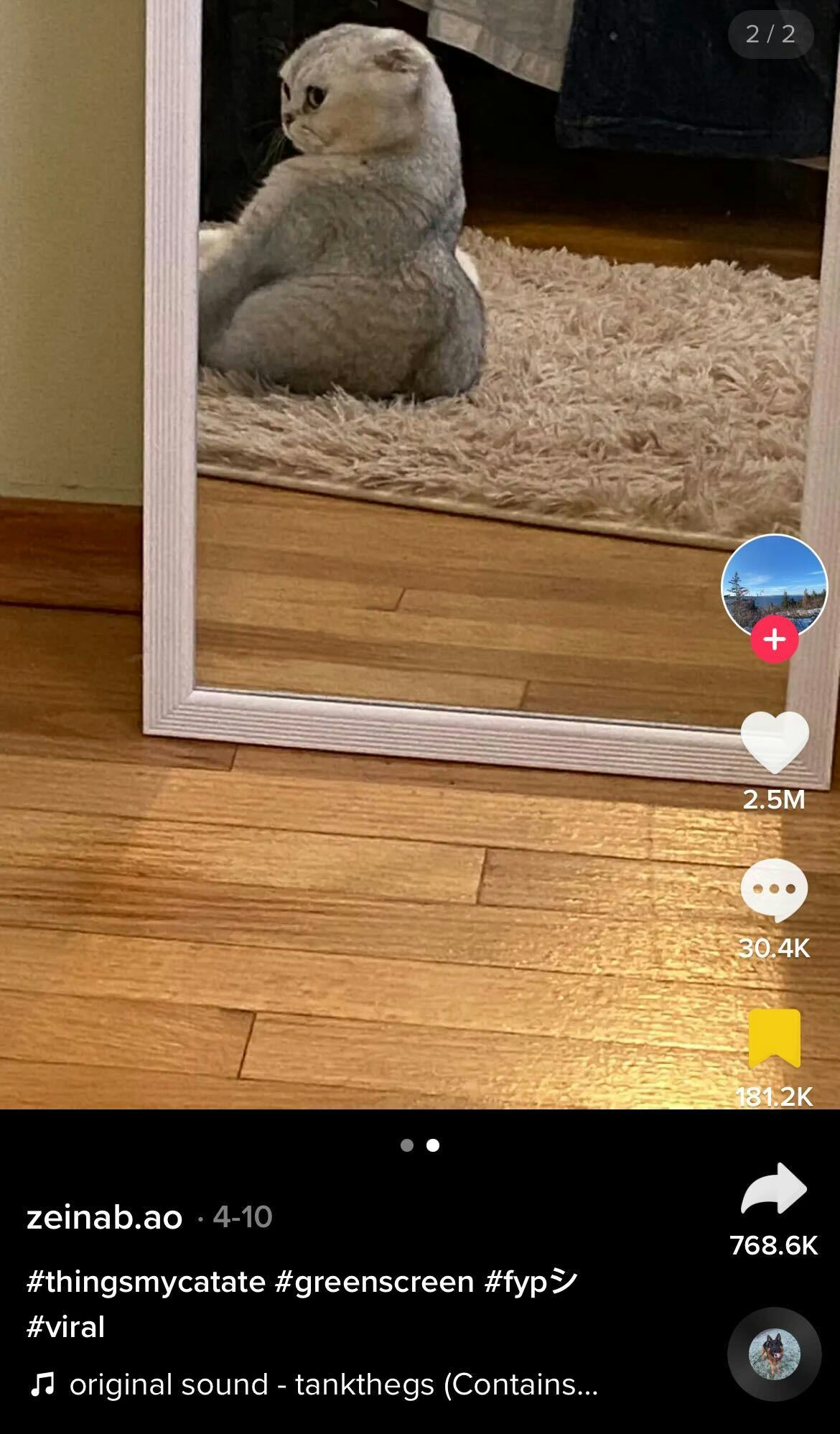 Here are the best memes from the &ldquo;Things I Ate &amp; Survived&rdquo; TikTok trend.