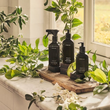 luxury sustainable cleaning products 