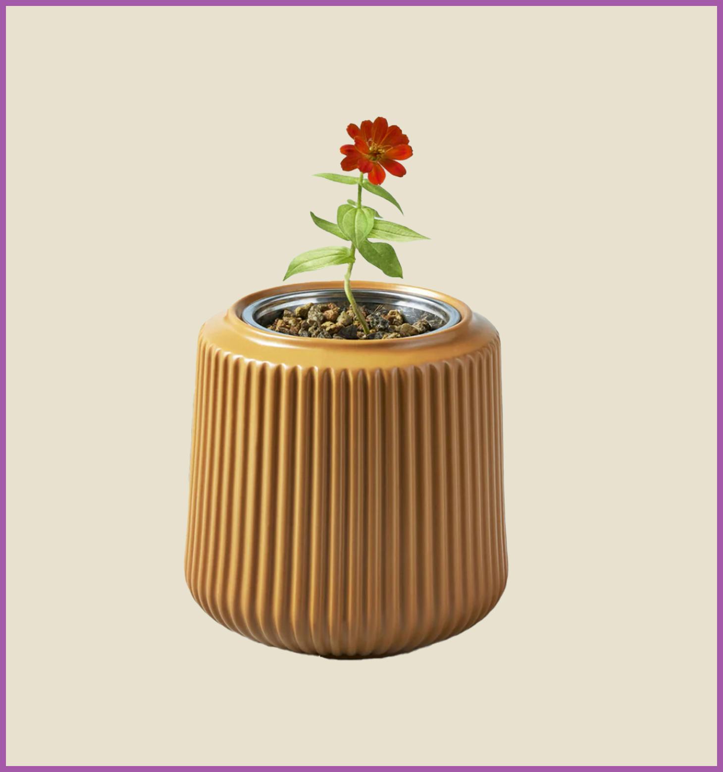 Flower Grow Kit