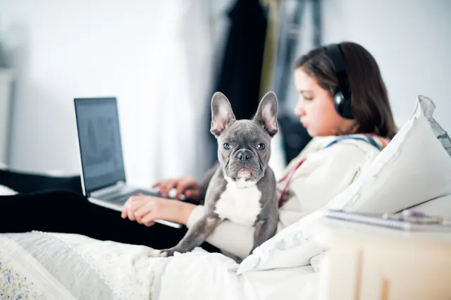 Pets not only provide emotional and mental boosts to teens, but they can also help them build invalu...