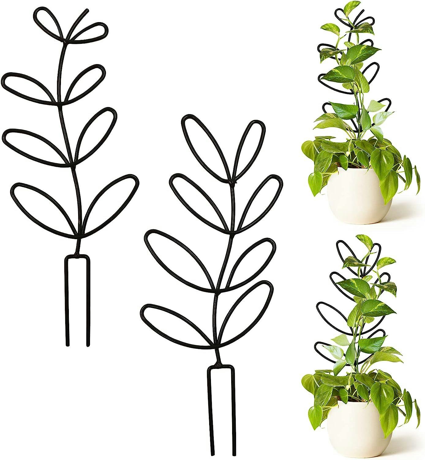 Yaaaaasss! Garden Trellis for Climbing Plant (2-Pack)