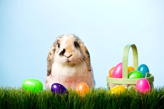 The Easter Bunny may be a fictional creature, but it doesn't keep people from wondering where it liv...