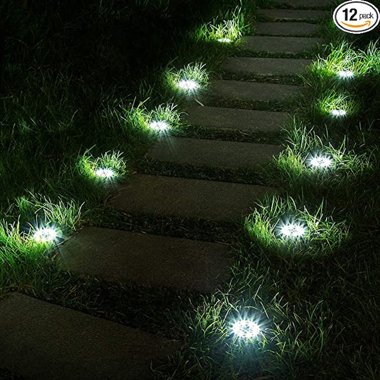 SOLPLEX Solar Ground Lights (12-Pack)