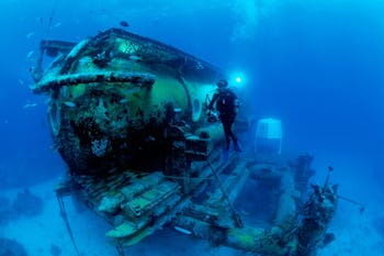 Dituri will be staying in a habitat similar to this one.