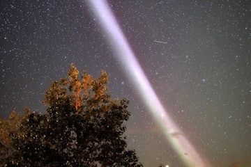 A purplish ribbon of light named Steve in the night sky.