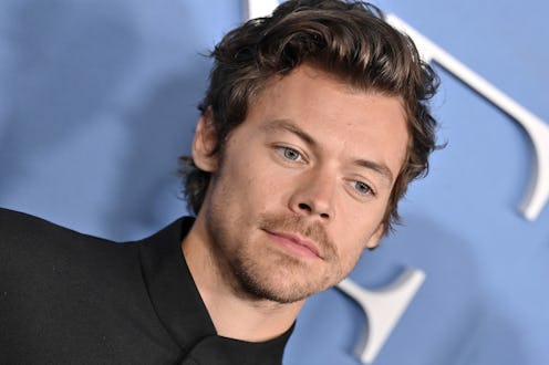 'The Little Mermaid' director revealed why he didn't cast Harry Styles.
