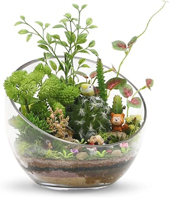 This decorative glass bowl can be used as a candy dish, terrarium, or to hold decorative items.
