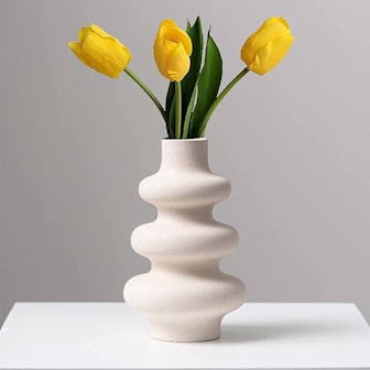 Steviieden Ceramic Vase