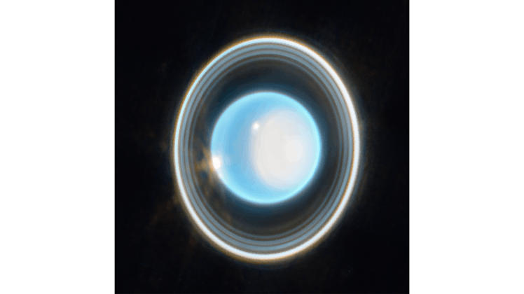 Uranus — seen from pole-on so the rings around it are visible, with a white splotch on the pole and ...