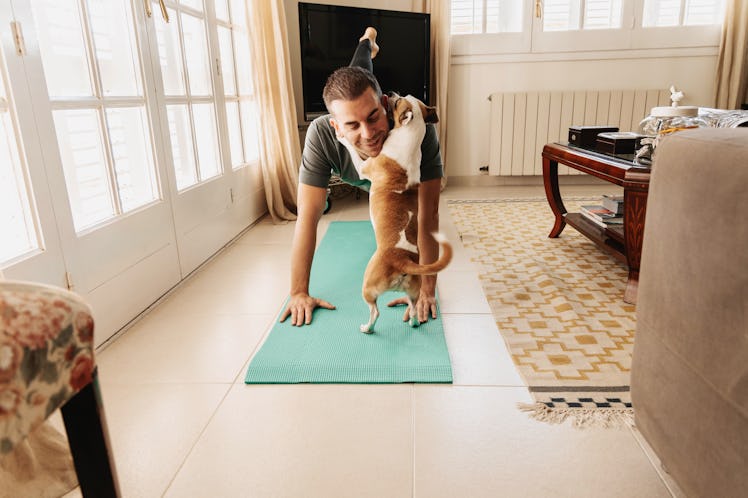 A man alone in his living room, doing yoga while his dog jumps up and kisses him.