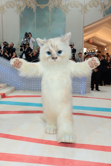 Jared Leto dressed as Choupette Karl Lagerfeld's cat