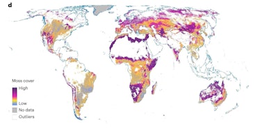 Map showing global moss cover