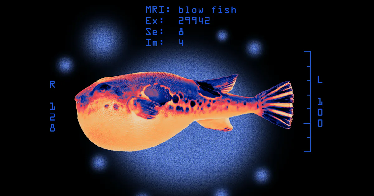 Inverse Check How Poisonous Are Blowfish? A Fish Biologist Reveals the Truth About ...