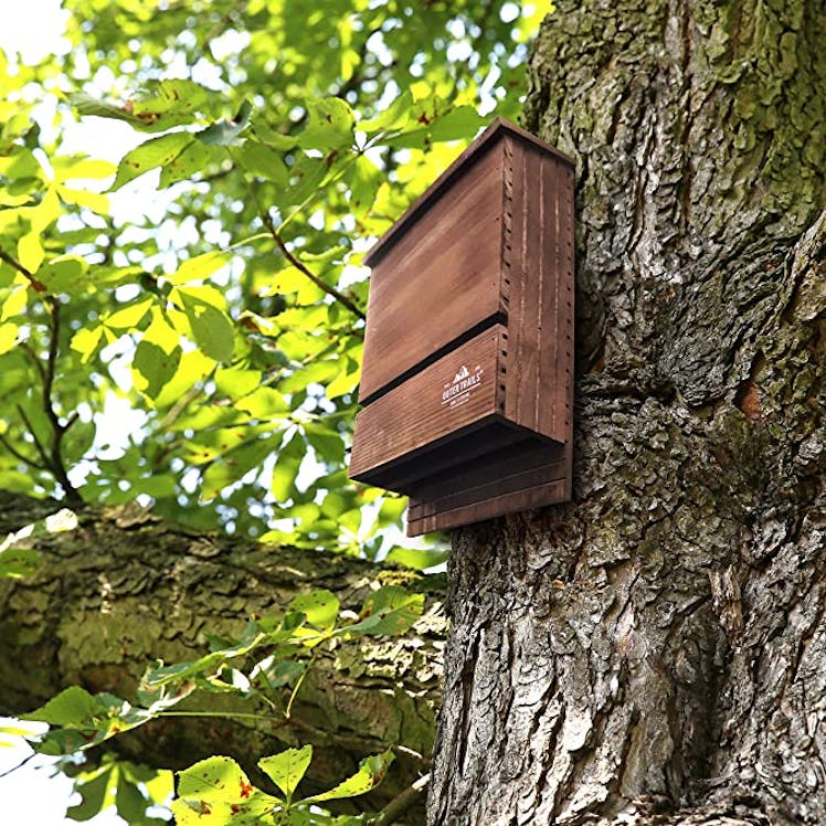 Outer Trails Two-Chamber Bat House