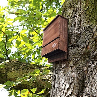 Outer Trails Two-Chamber Bat House