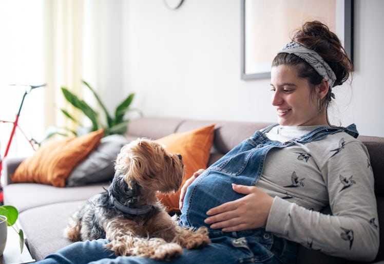 Pregnant woman sitting on the couch accompanied by a dog