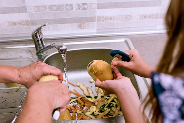 Food scraps in sink