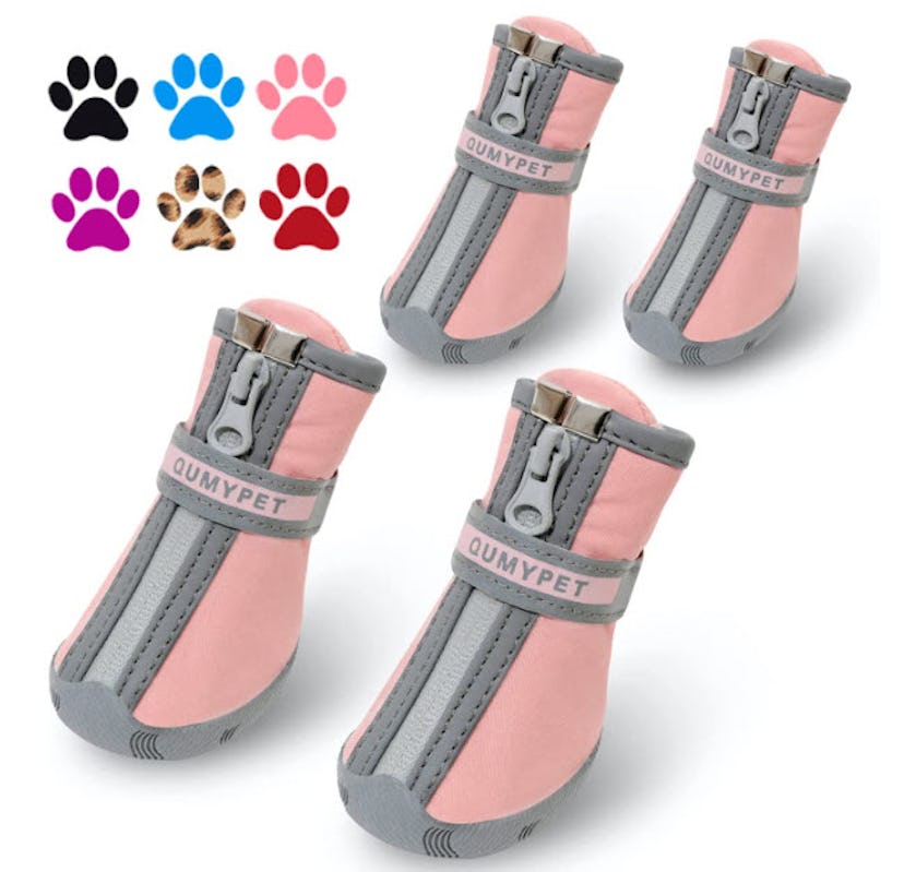 QUMY Dog Shoes for Small Dogs