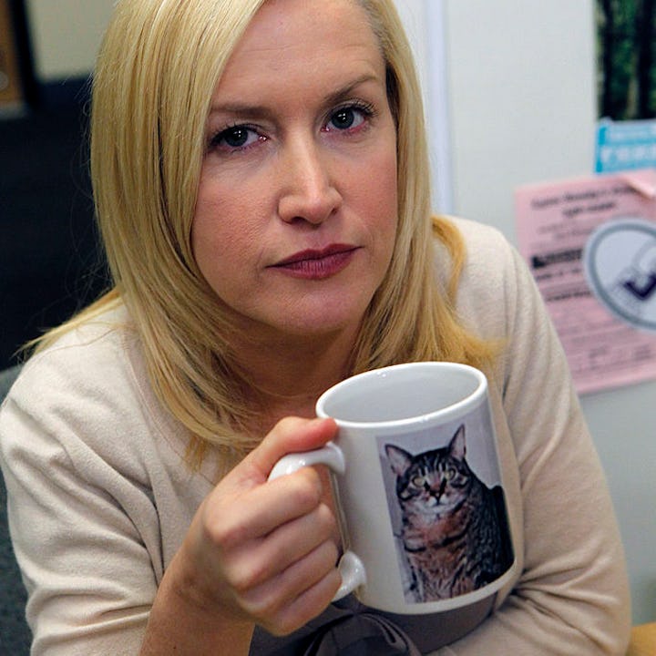 Angela Kinsey as "cat lady" Angela Martin on 'The Office'