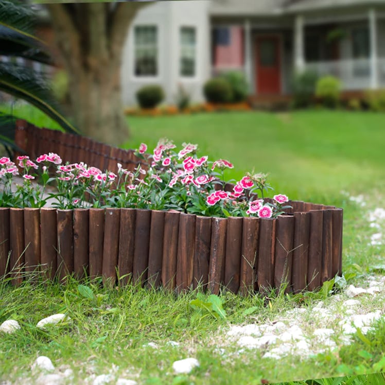 Worth Decorative Border