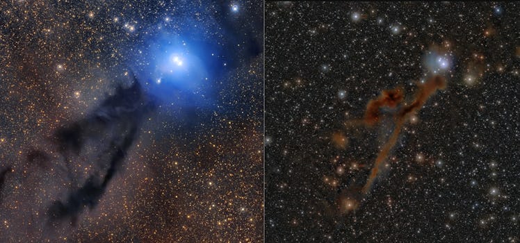Stars and gas clouds populate the Lupus 3 region