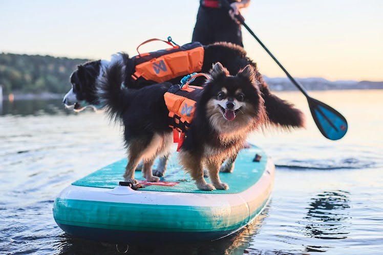 Non-stop dogwear Protector Life Jacket