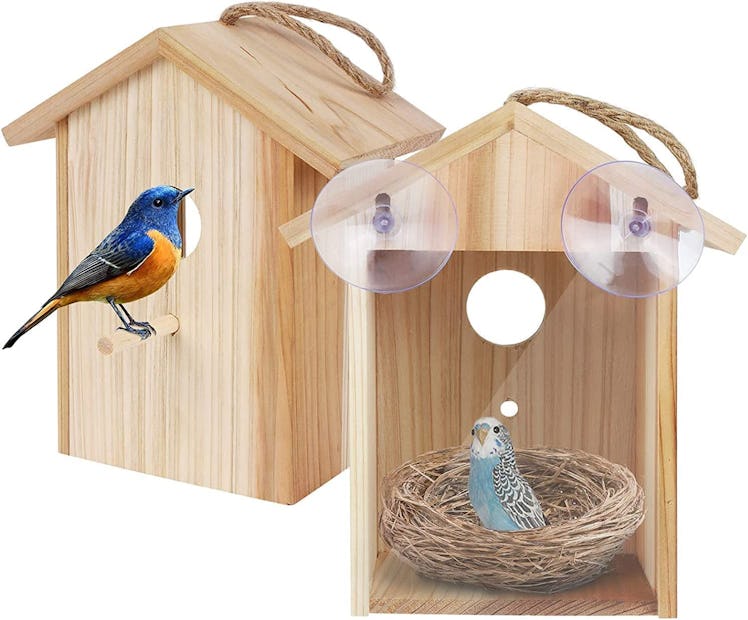 ColorfulLaVie Window Bird House 